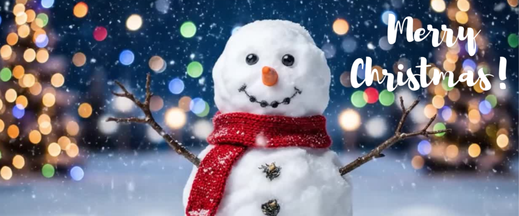 A snowy scenery with lit Christmas trees in the background. A snowman is in the centre and smiling. Above reads Merry Christmas!